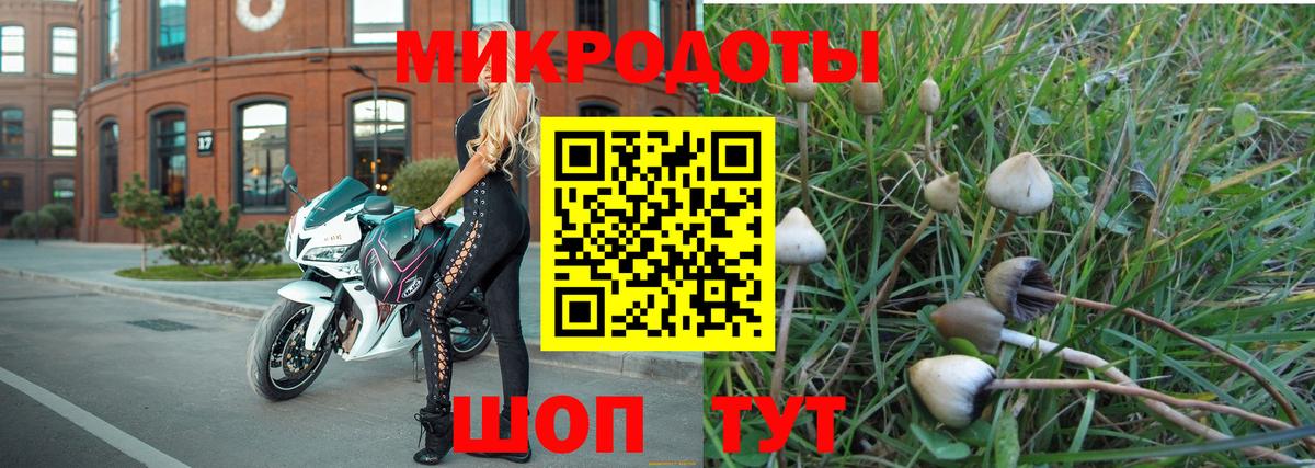 Пыть-Ях  Псилоцибиновые грибы MAGIC MUSHROOMS  Галлюциногенные грибы мухоморы  Вход с VPN 
